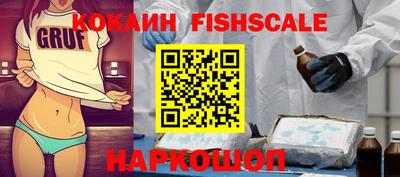 шишки Гай