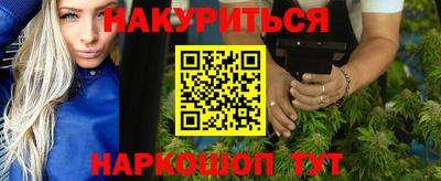 шишки Гай
