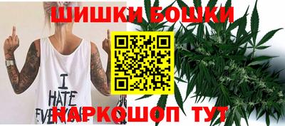 шишки Гай