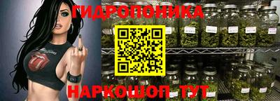 a pvp Гагарин