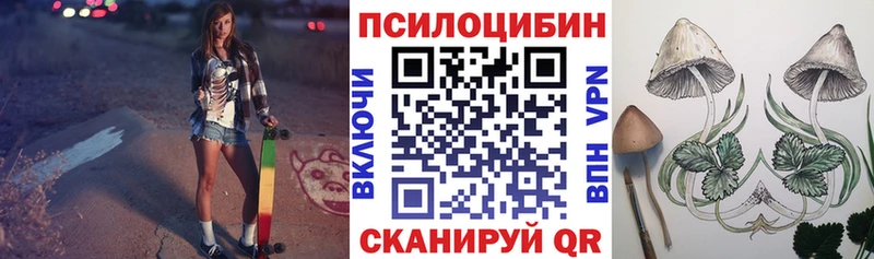 hydra как войти  Красноярск  Псилоцибиновые грибы Psilocybine cubensis  купить  цена 