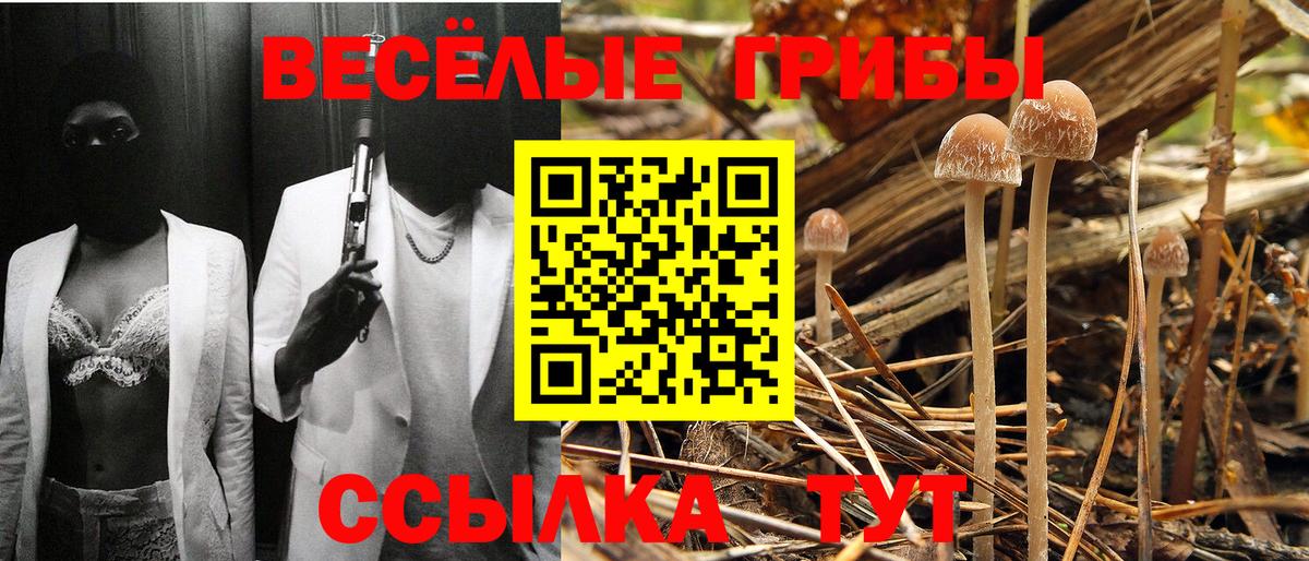 Красноярск  Псилоцибиновые грибы мухоморы  Вход с VPN  хочу наркоту  Псилоцибиновые грибы Psilocybine cubensis 